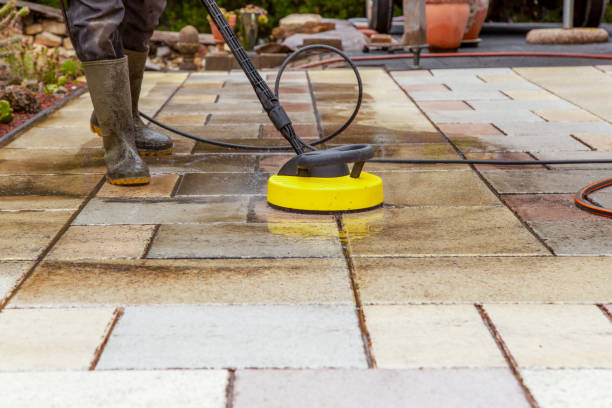 Best Rust Removal  in Salt Creek Commons, IN